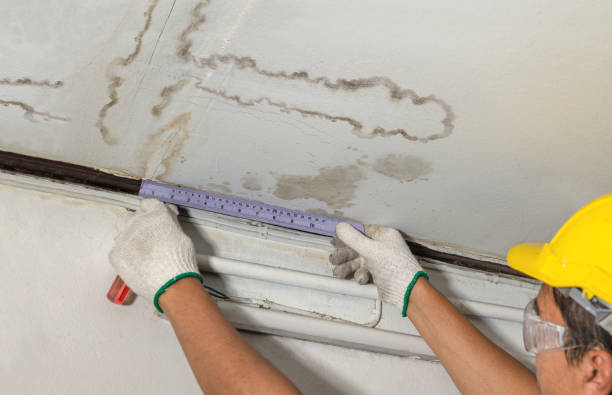 Reliable Water Damage contractor in Auburn, ME by Water Damage Irwin
